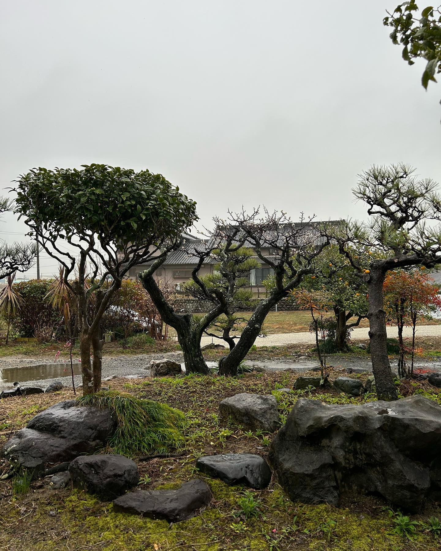 雨に煙る風のおとです。