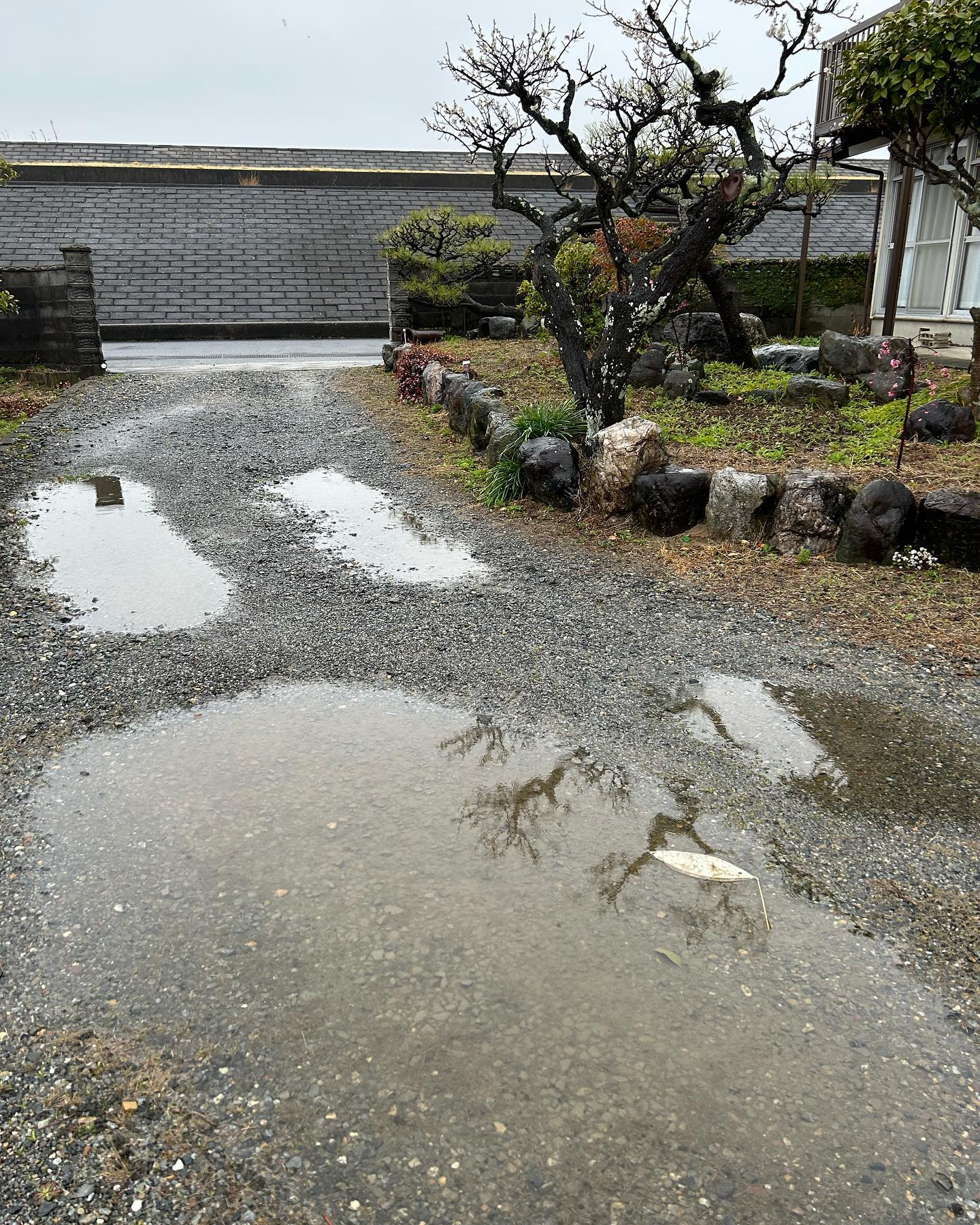 雨に煙る風のおとです。