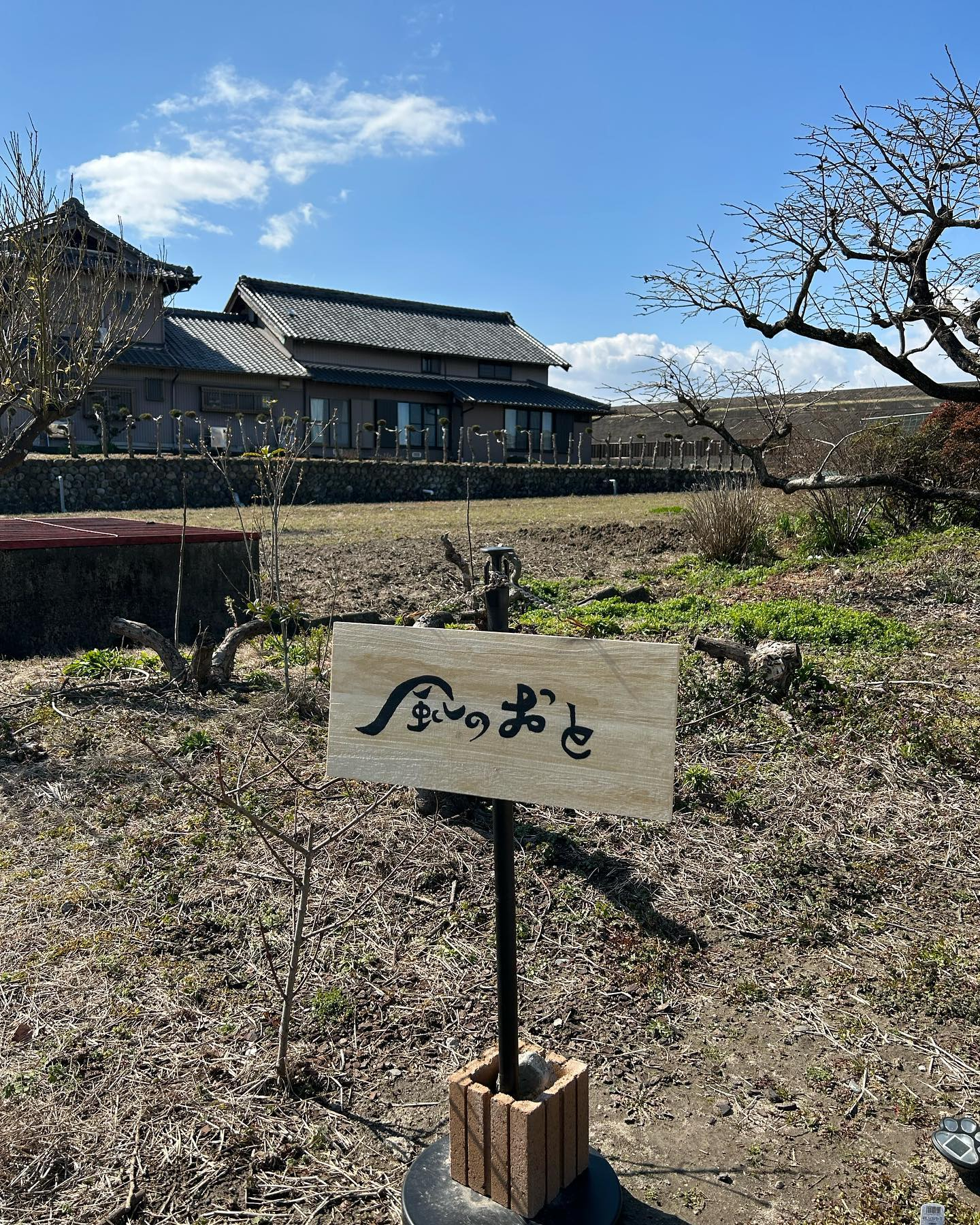 風の強い朝です。