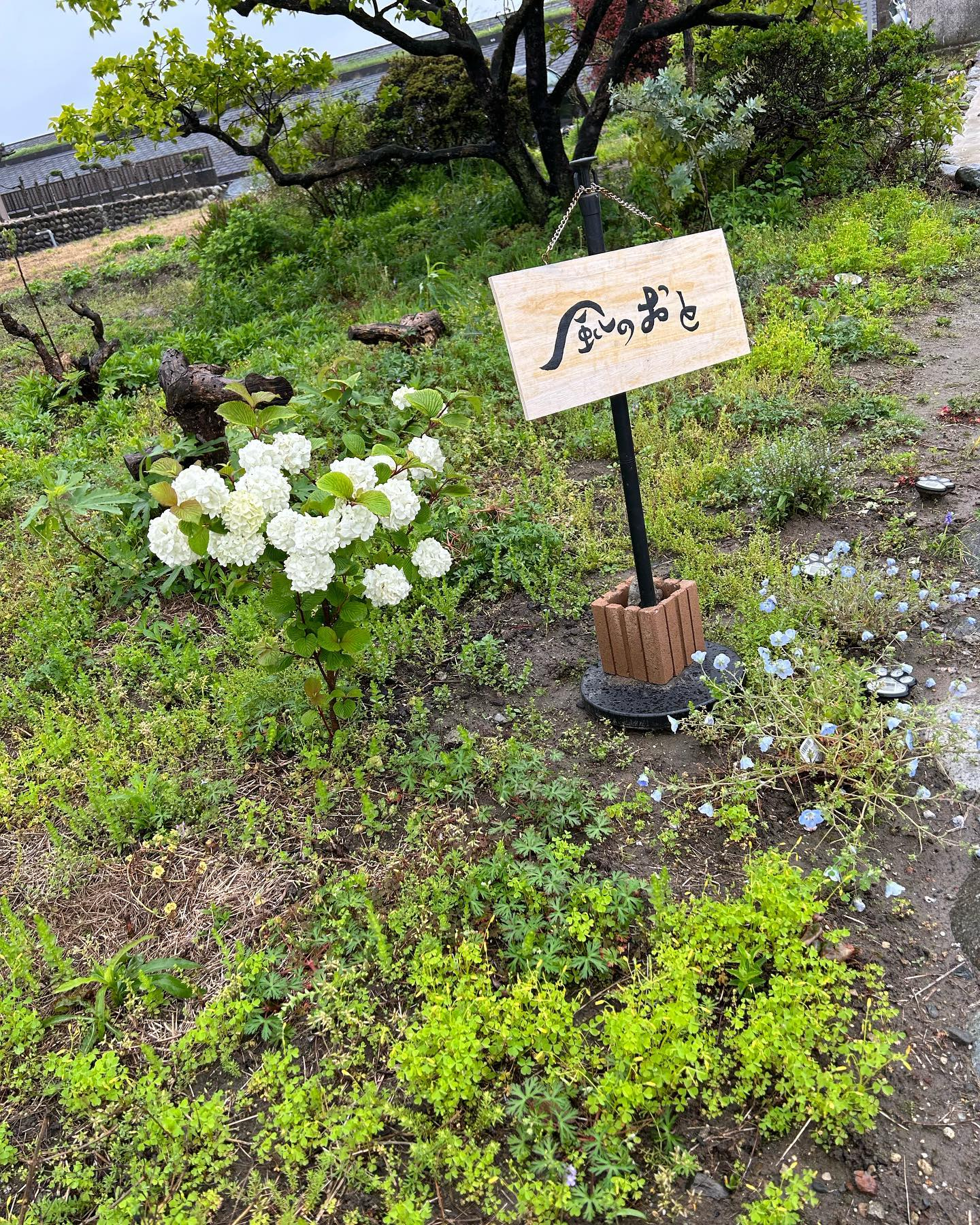 雨の中の風のおとです