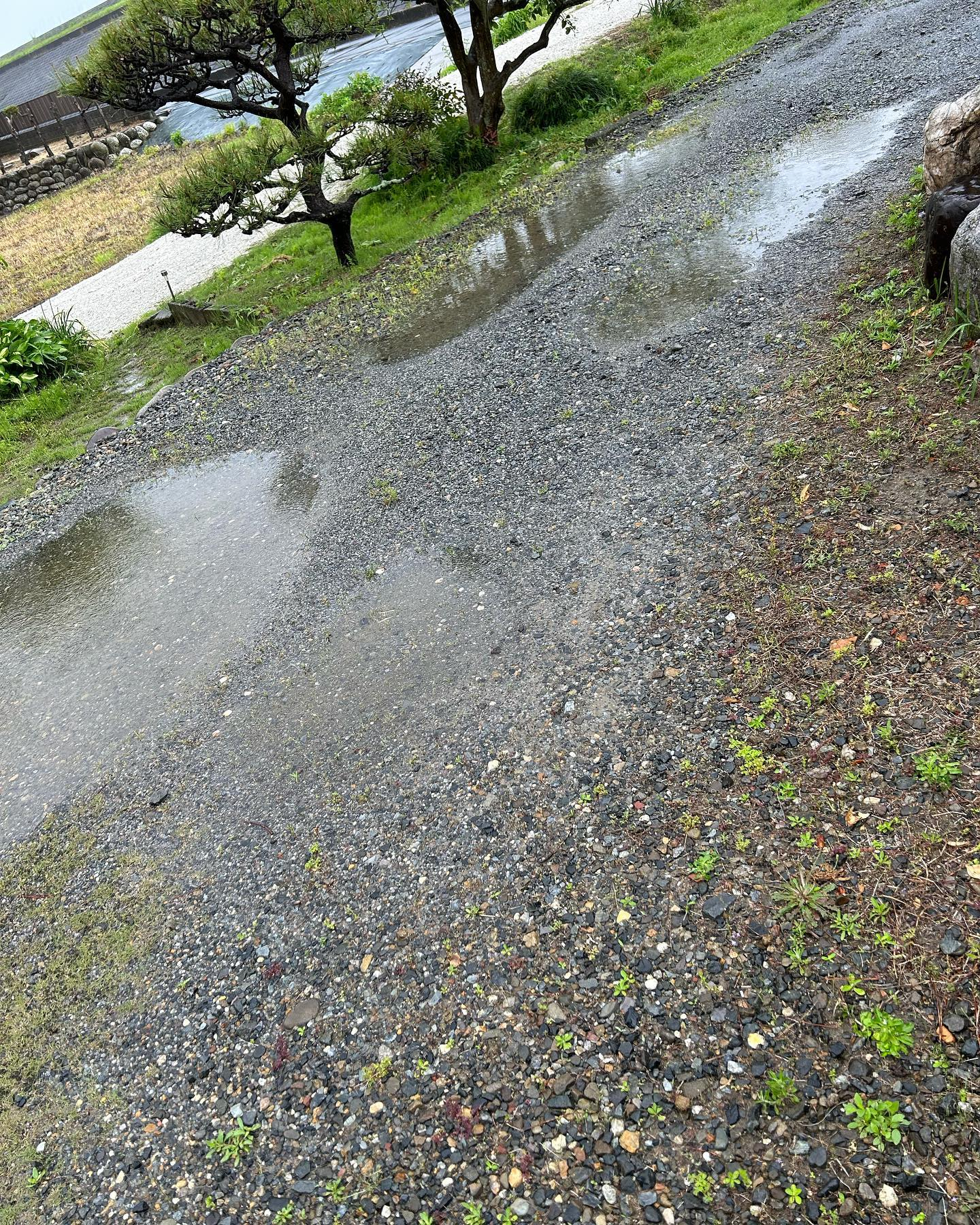 雨の中の風のおとです