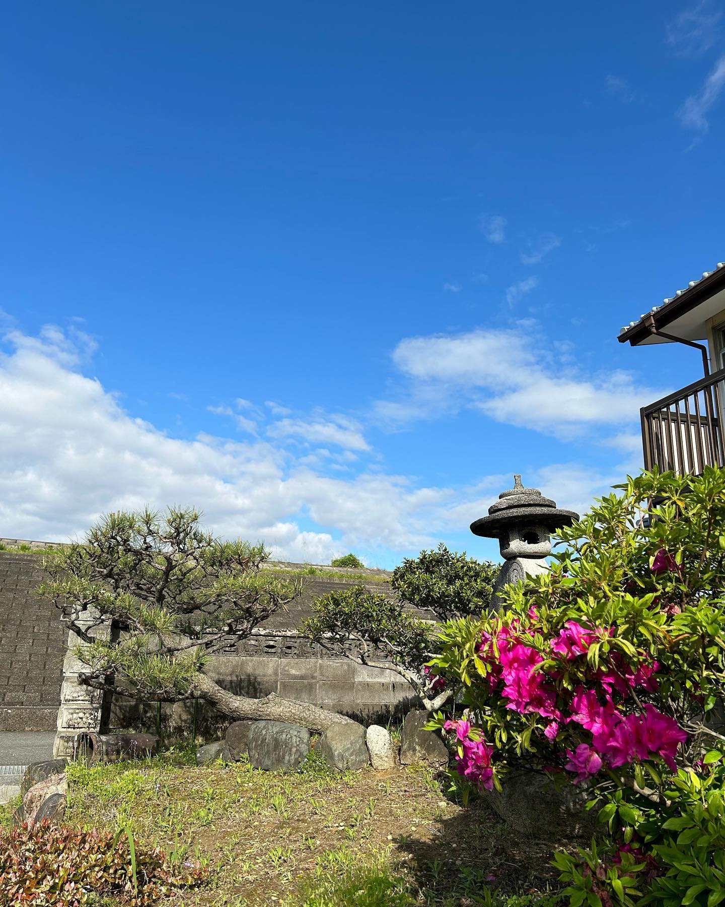 2023年11月2日にオープンして本日でちょうど半年になりま...