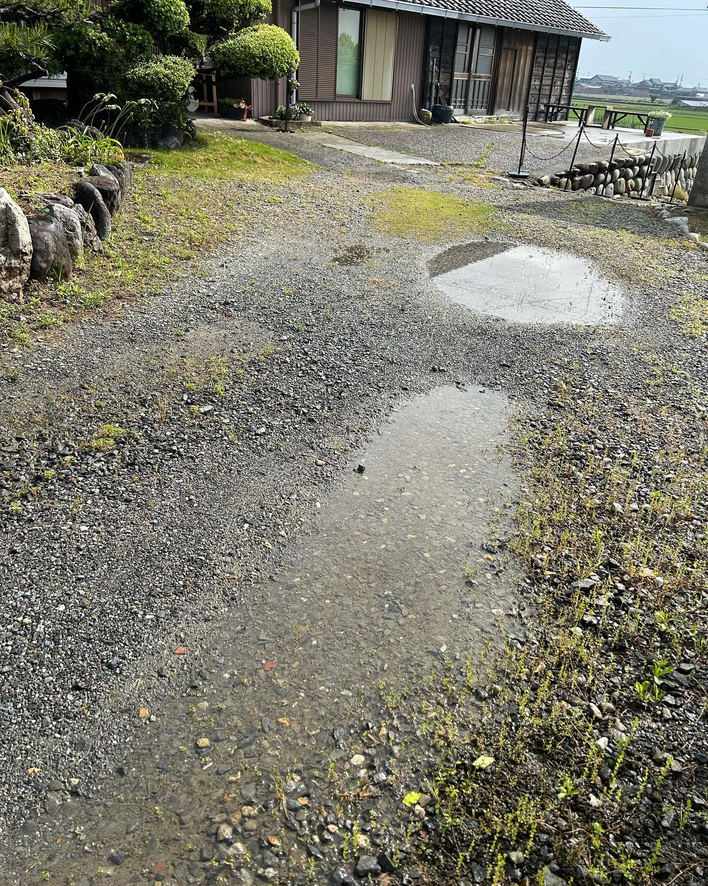 雨上がり恒例の水溜りです。