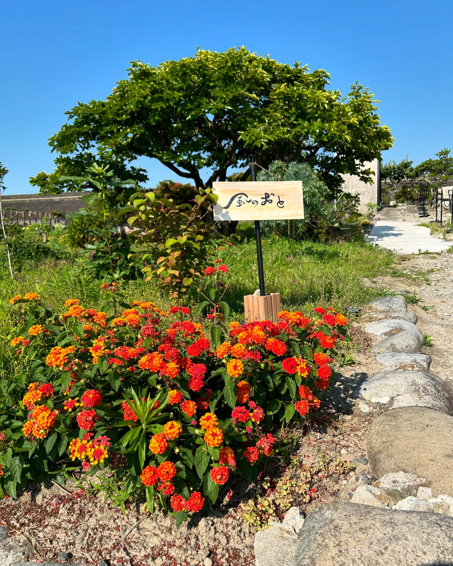 本日も暑くなりそうです☀️