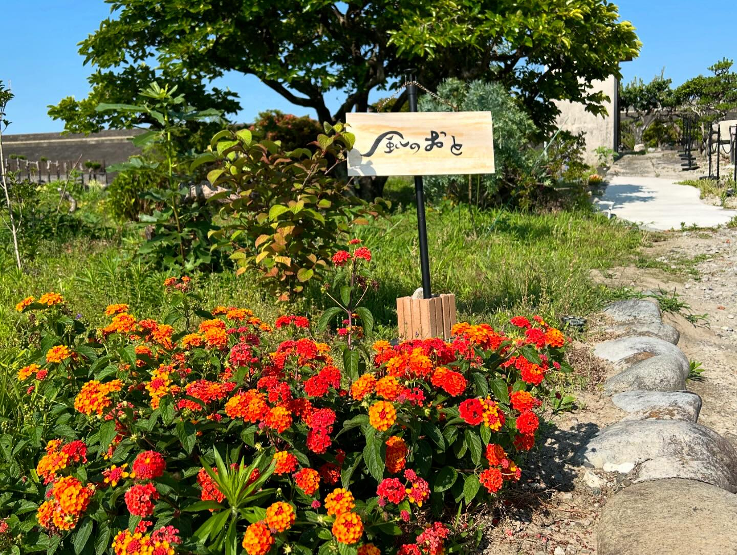 風のおとの特製のランチプレートです😊