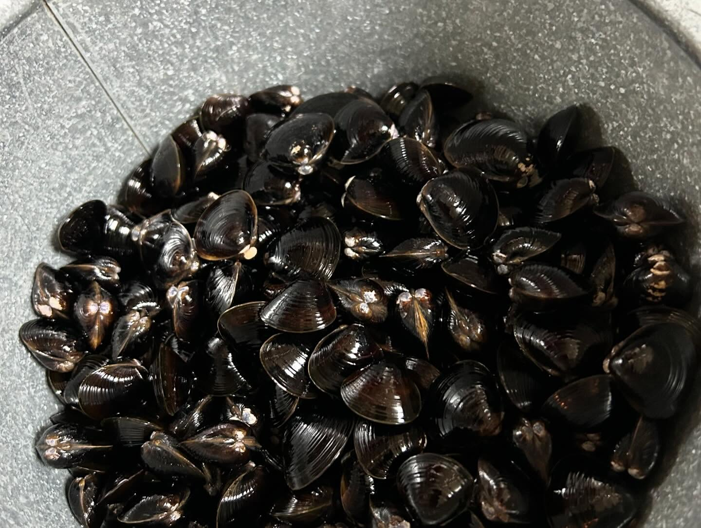 風のおとのカレーです。