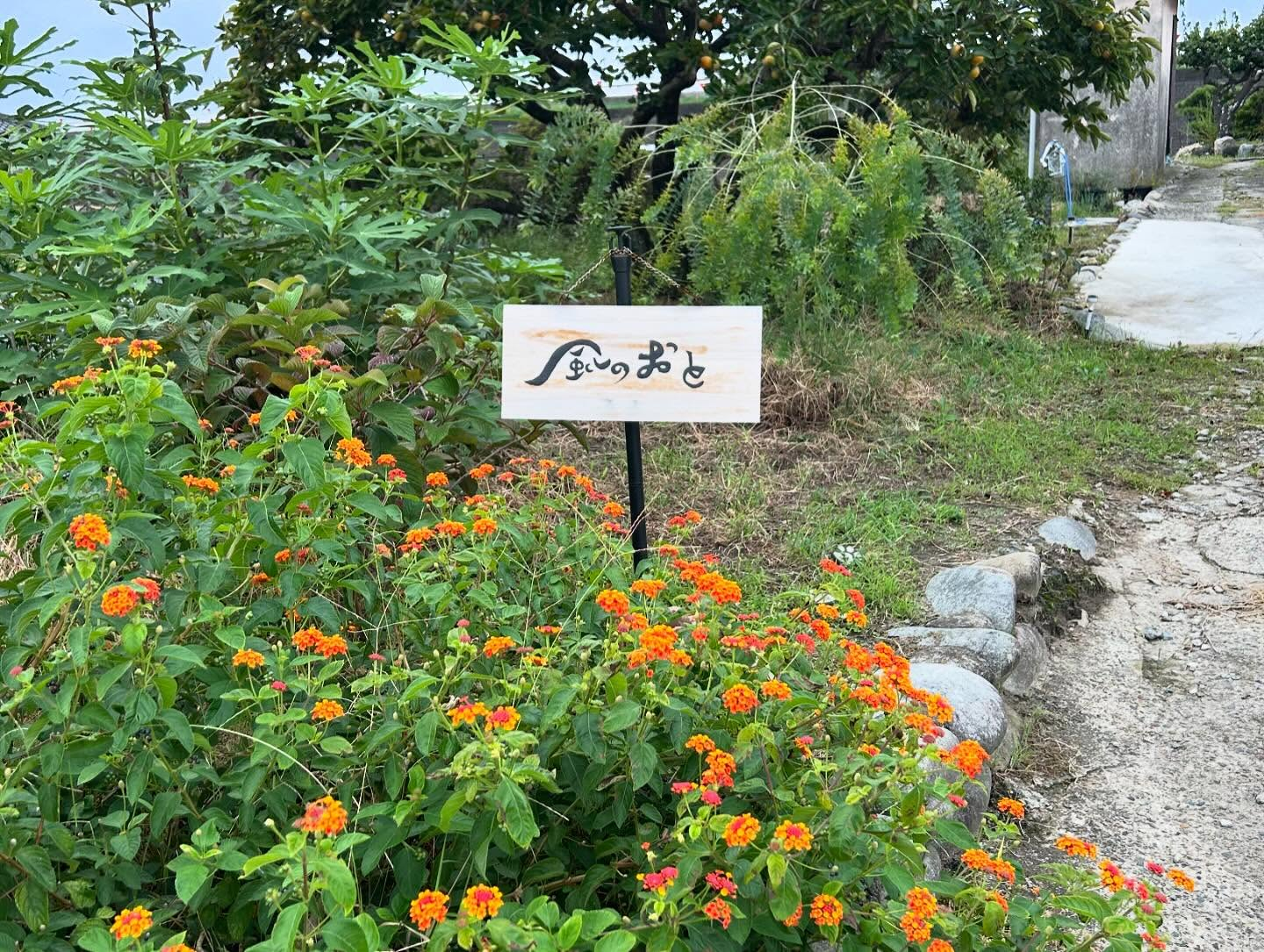 風のおとのカレーです。