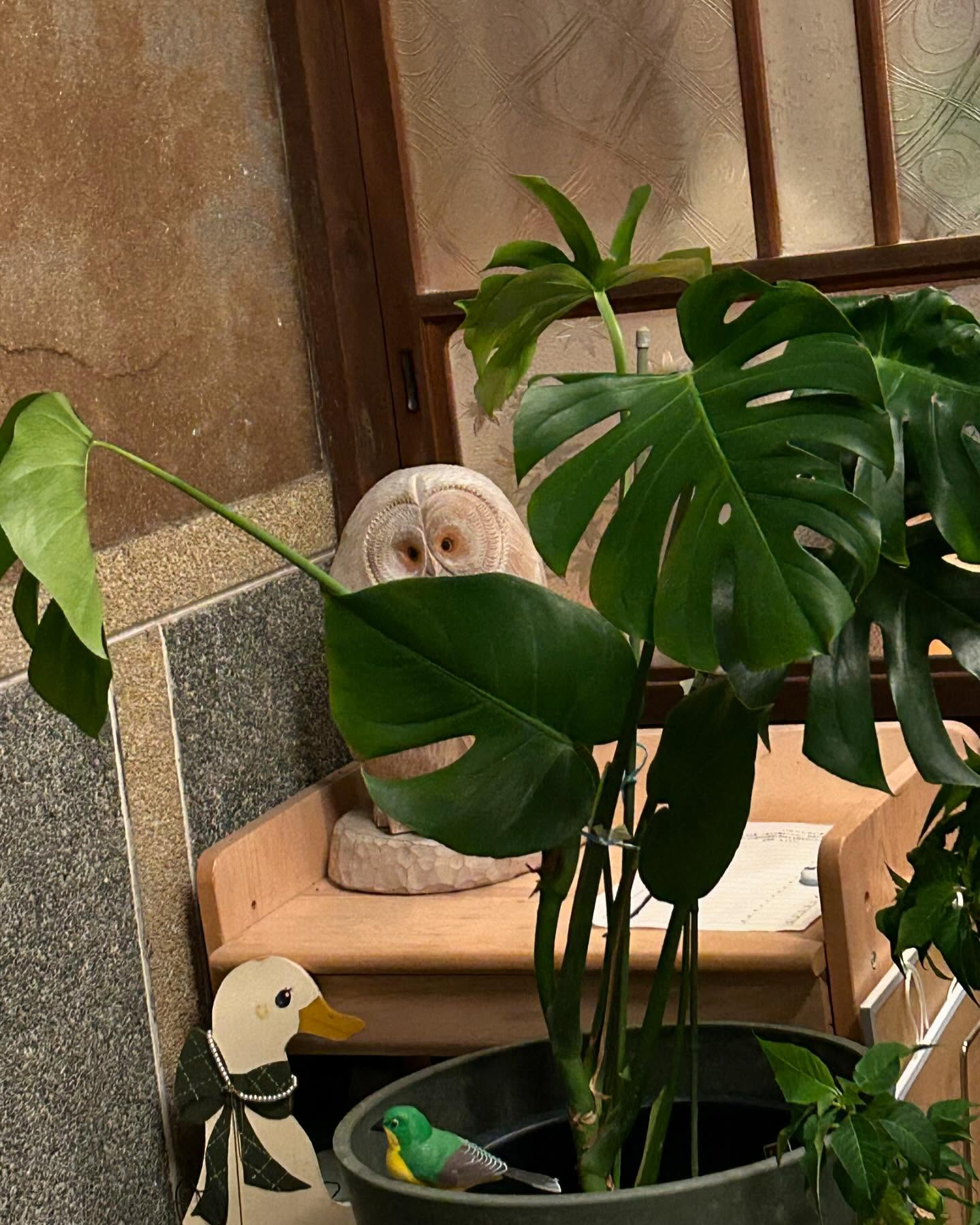 風のおとの現在の装飾です😊