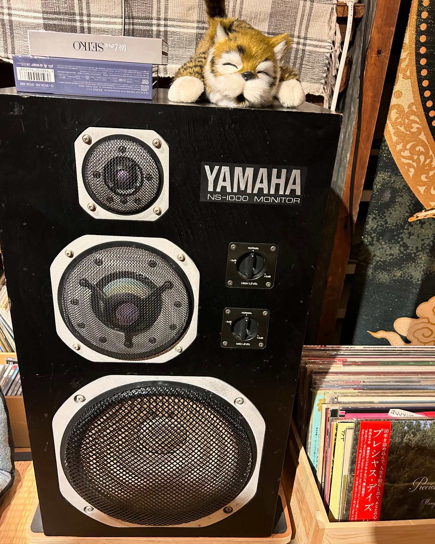 風のおとの現在の装飾です😊