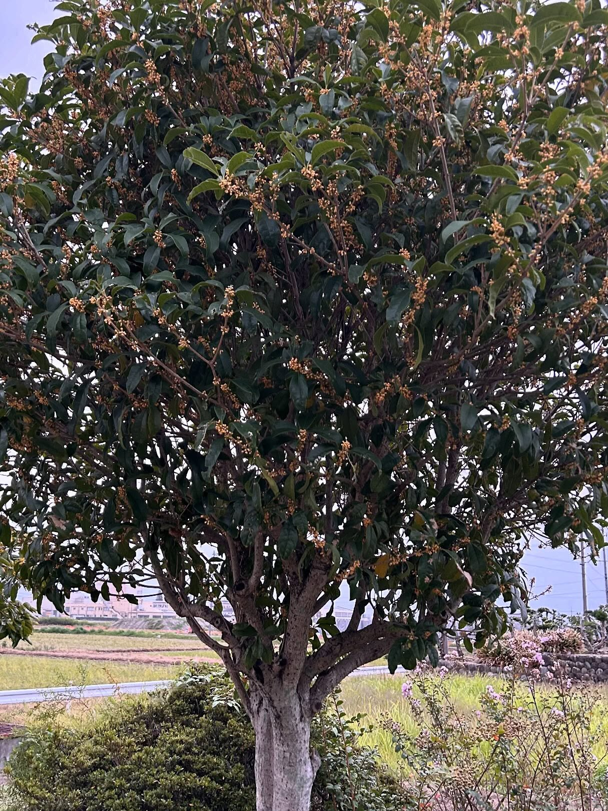 風のおとの木曽川の堤防側の道に看板を2つ付けました😊