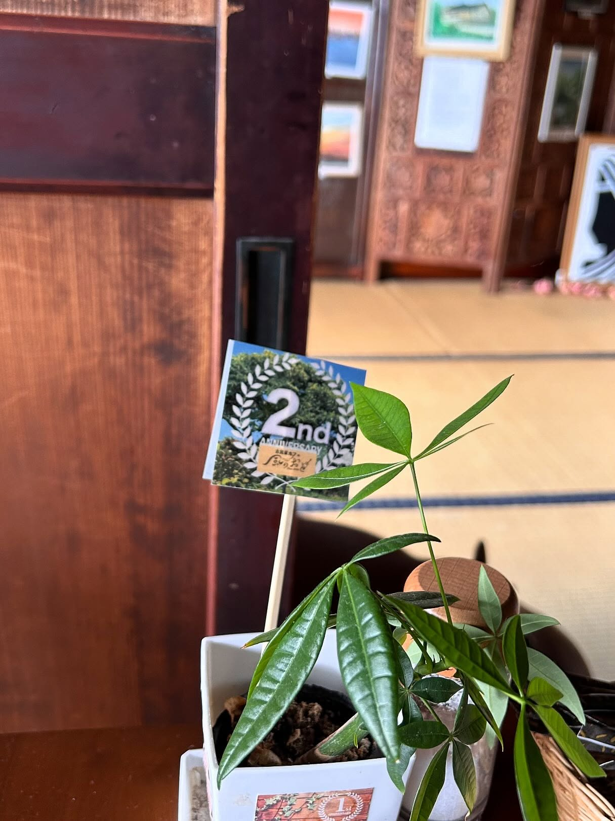 11月2日で開店から2年になります😊