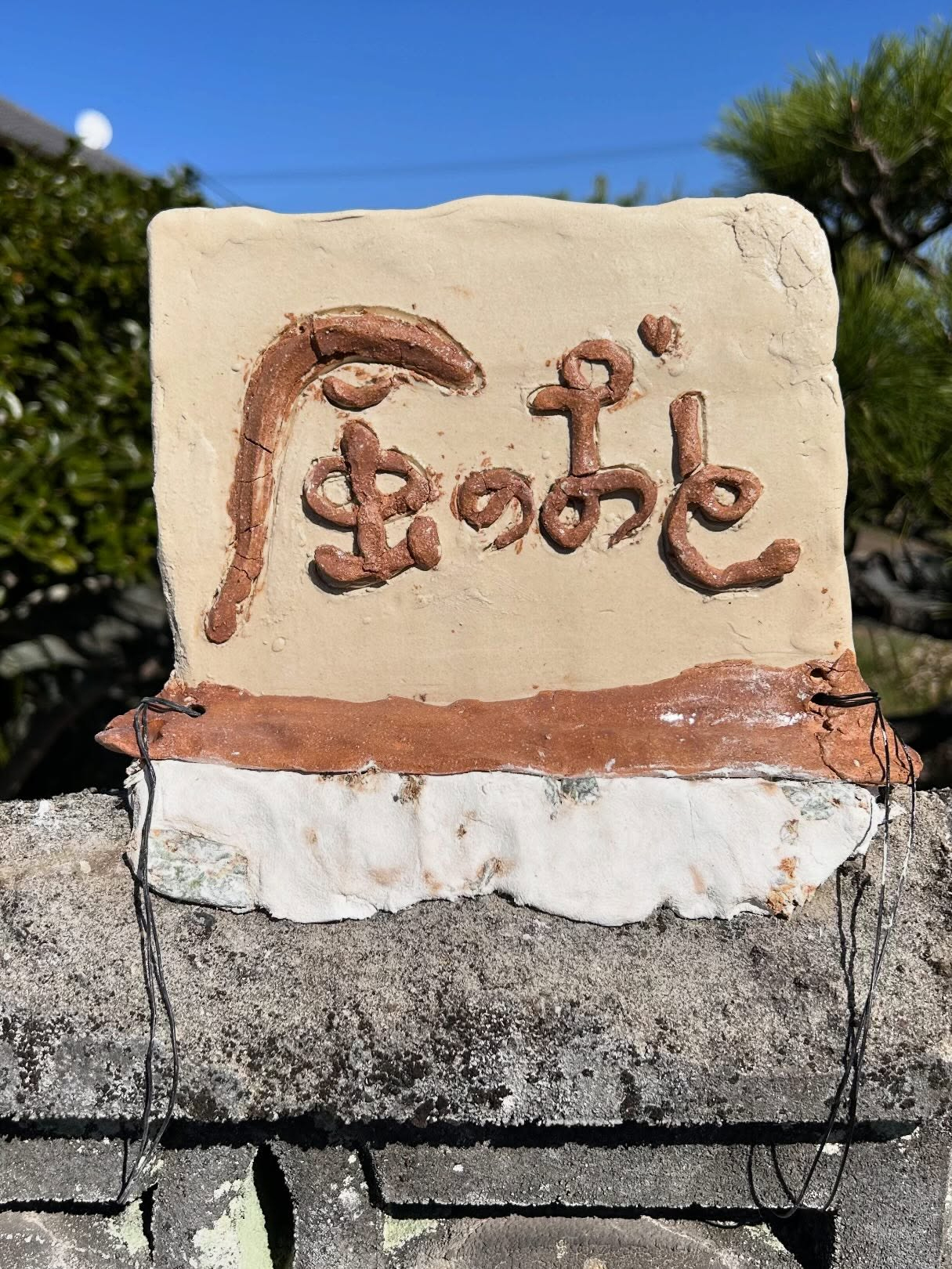 風のおとの今週末のライブ予定です😊