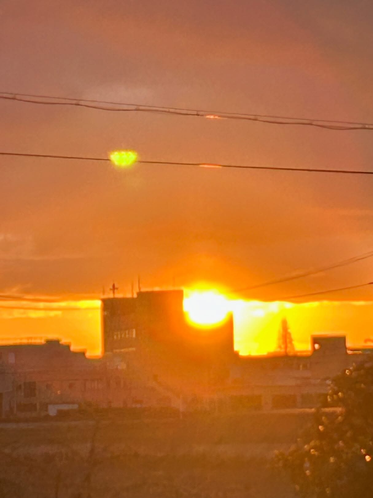 昨年のクリスマスライブの時に出演者の奥様にいただいた手作りの...