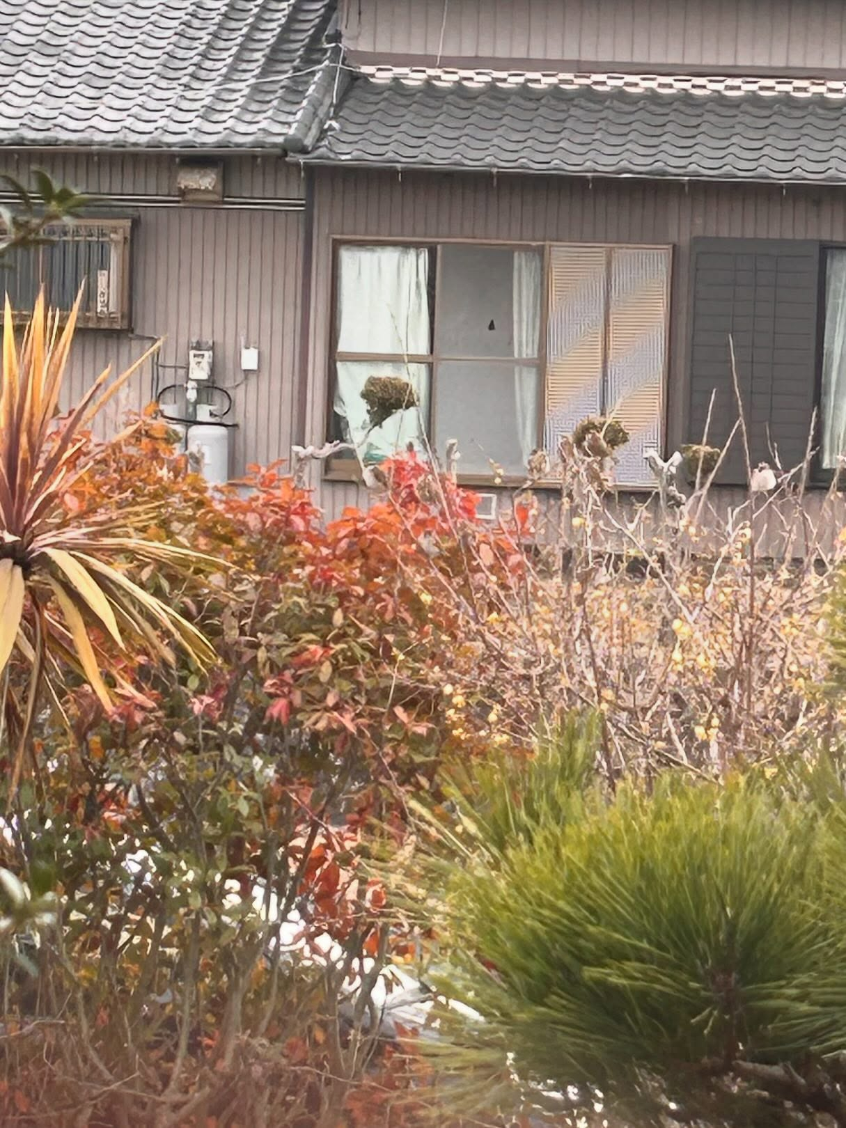 三重県の木曽岬町の古民家カフェ風のおとです😊