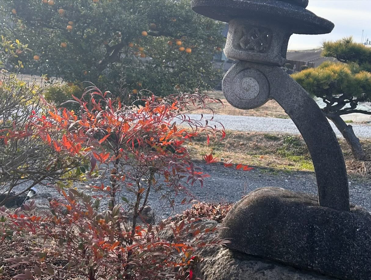 春の気配を少し感じさせる風のおとです😊