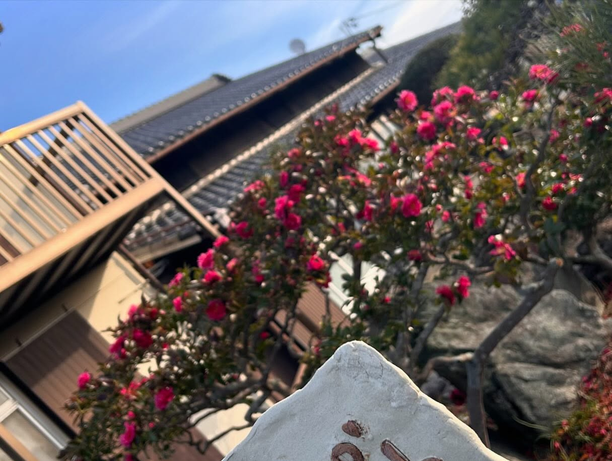 春の気配を少し感じさせる風のおとです😊