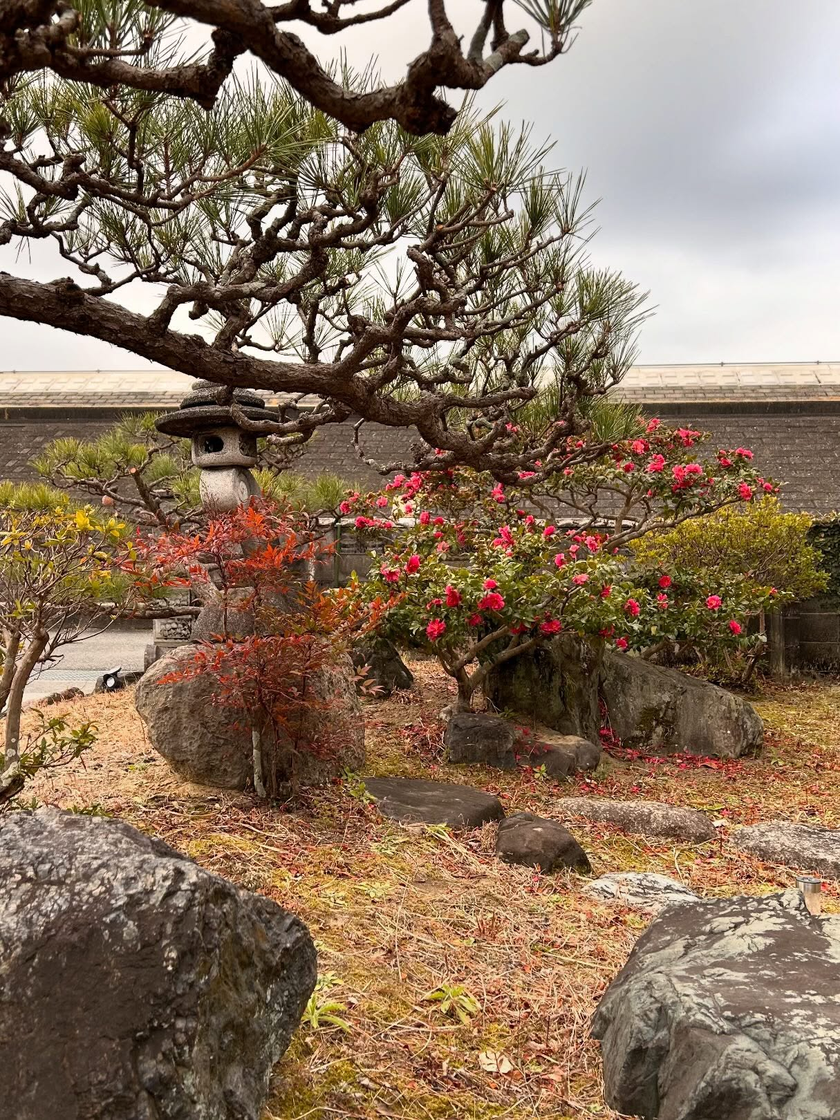 春を待つ風のおとです。