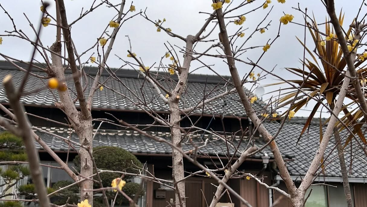 外から見た風のおとです😊