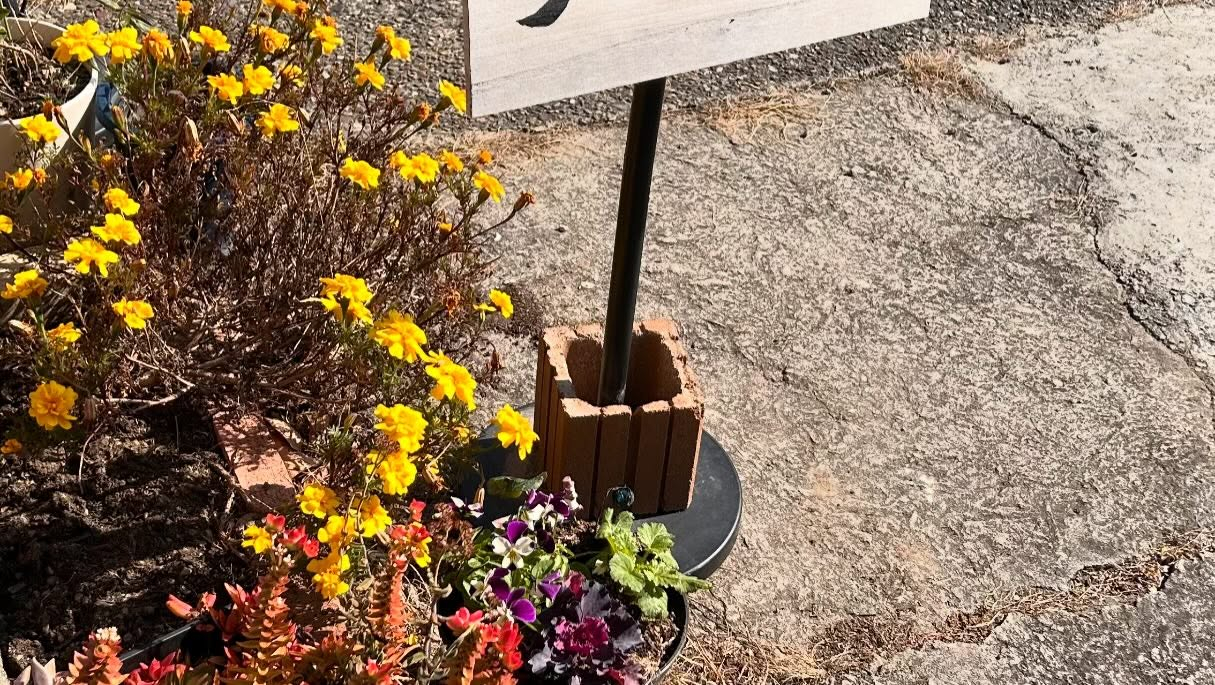 外から見た風のおとです😊