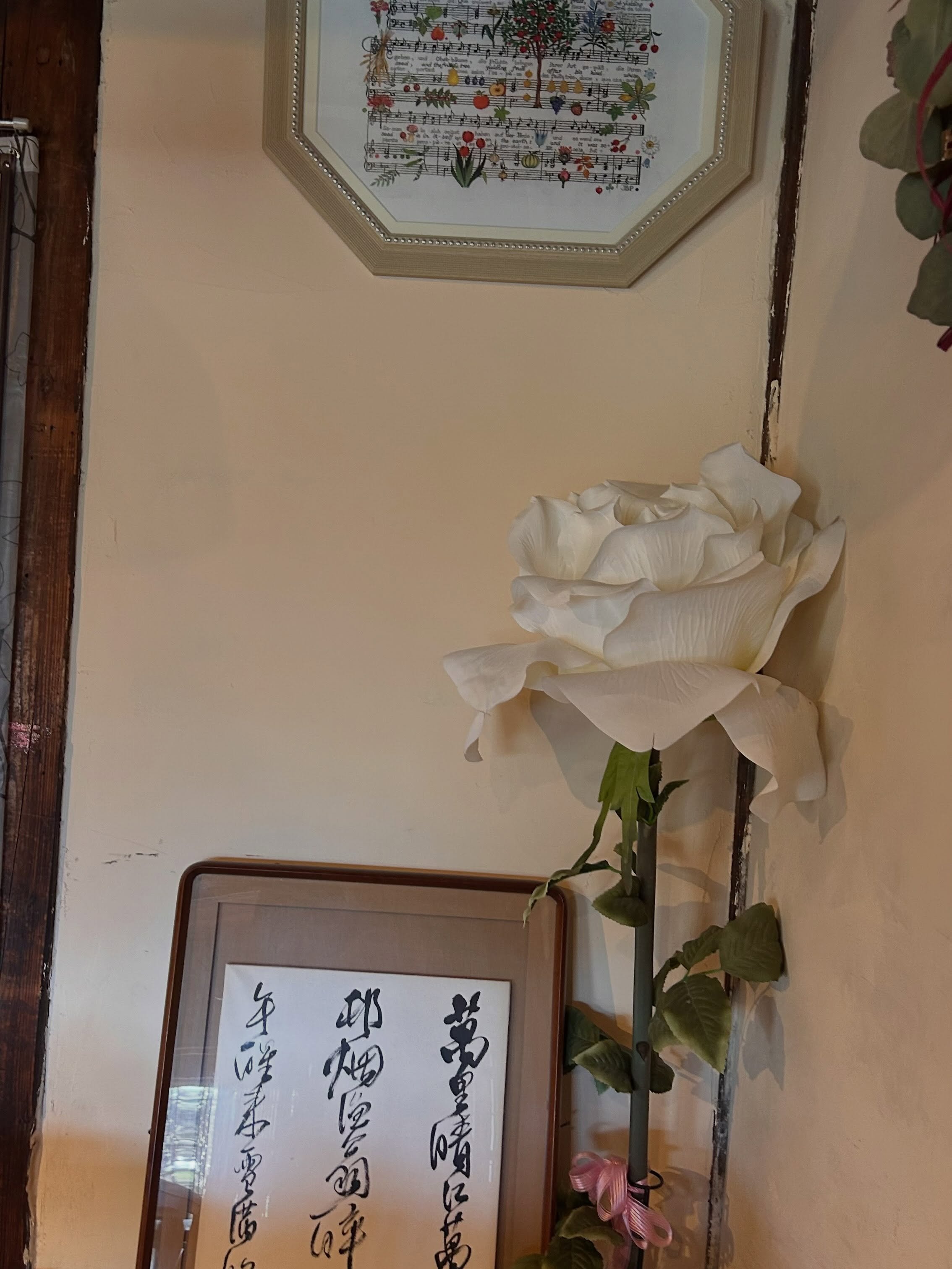 2026年も前半を終えて7月に突入しました😊