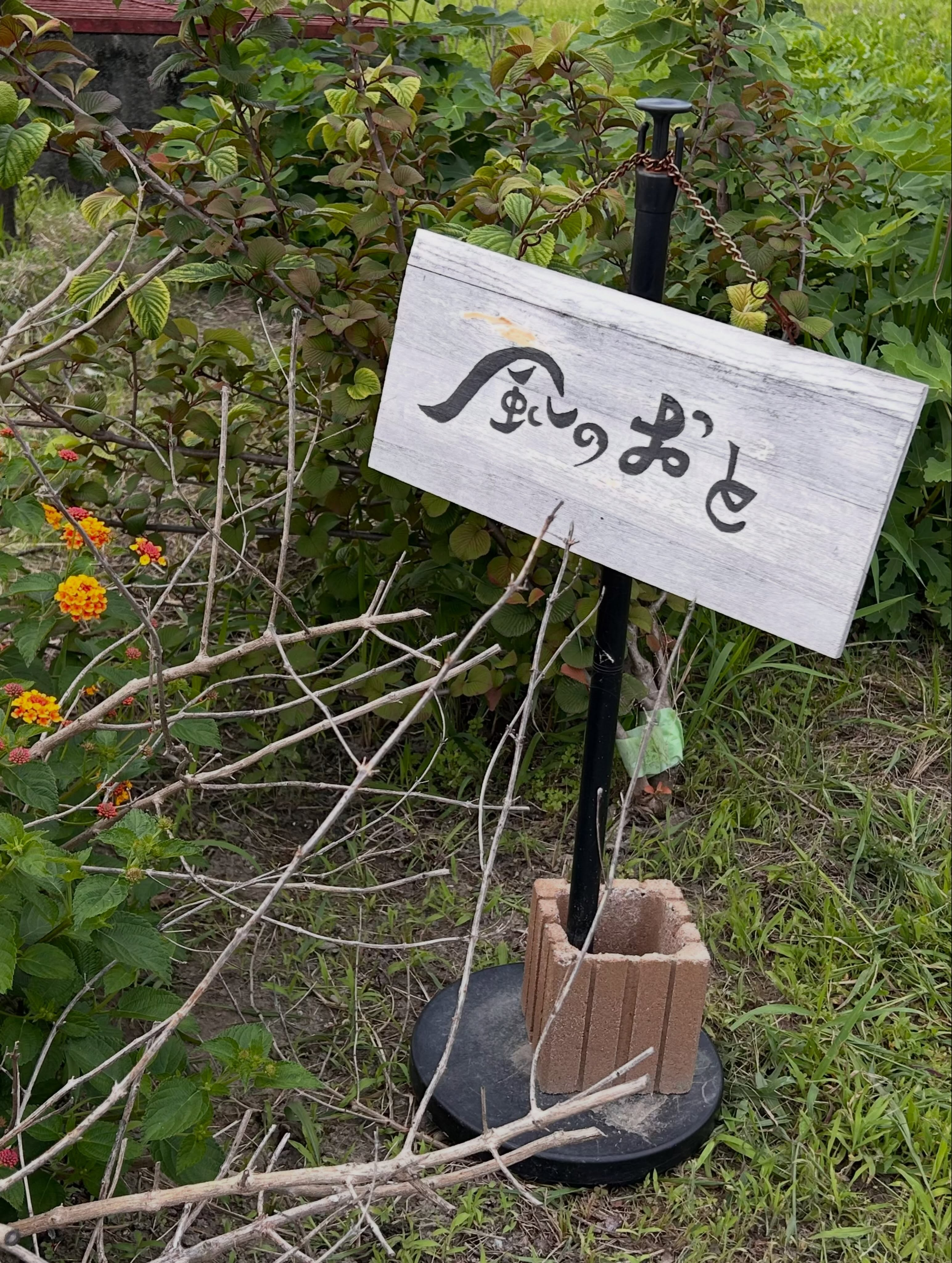 今週末の風のおとのライブ予定です🎶🎶